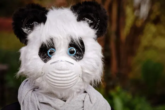 NoxWin Casino Supporto